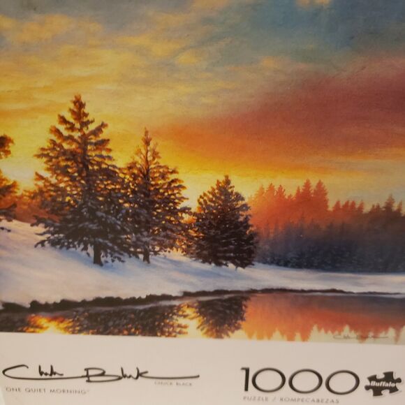 Lot 2  Puzzles 1000 piece each w/ Posters Path of Totality, One Quiet Morning - Picture 2 of 16